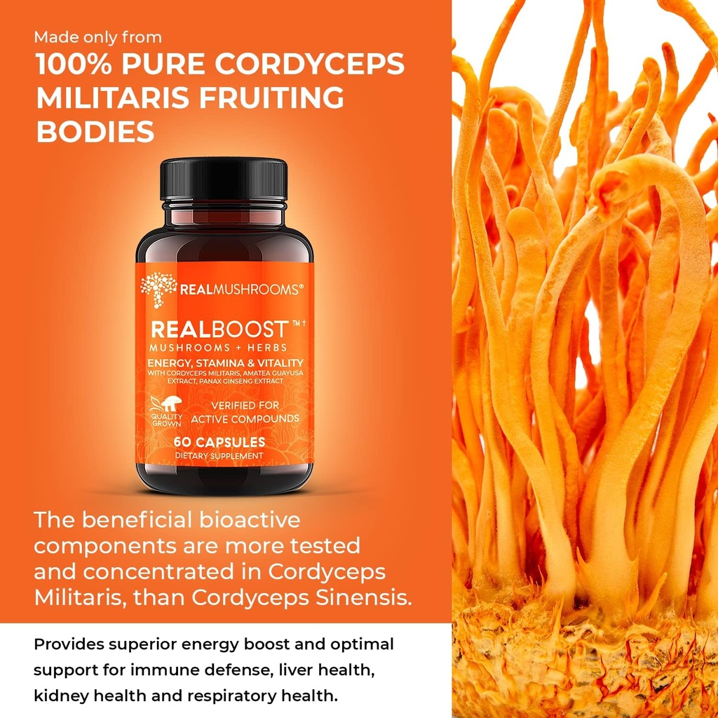 real-mushrooms-realboost-60ct-lions-mane-3.jpg