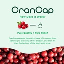 cranberry-pills---urinary-tract-health-c-6.jpg