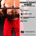 nootropics-depot-horny-goat-weed-capsule-5.jpg