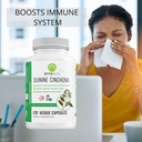 quinine-cinchona-bark-extract-herbal-sup-4.jpg