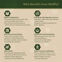 premium-dried-wolffia-globosa-superfood--6.jpg