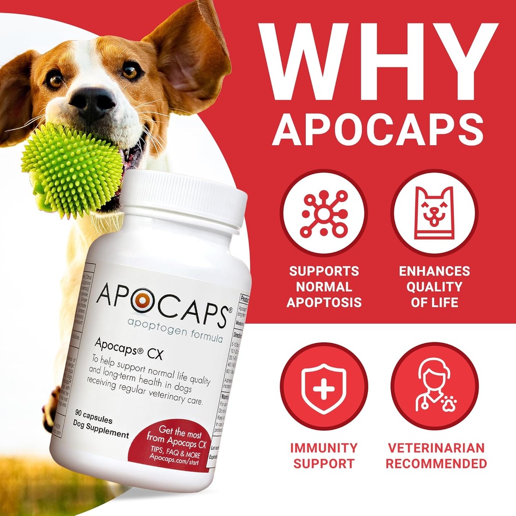 apocaps-cx-apoptogen-formula-for-dogs-90-2.jpg