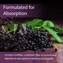 pro-formulations-elderberry-elite-strong-6.jpg