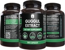 pure-original-ingredients-guggul-extract-4.jpg