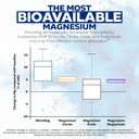 nootropics-depot-micromag-magnesium-caps-6.jpg