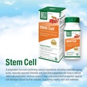 bell-stem-cell-supplements---supports-yo-6.jpg