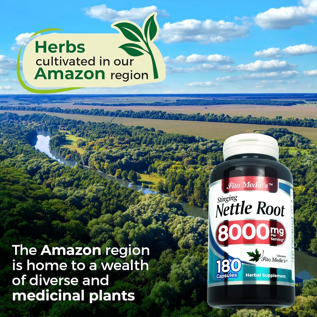 fito-medics-lab---stinging-nettle-root-1-3.jpg