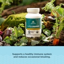 ancient-nutrition-regenerative-organic-c-3.jpg