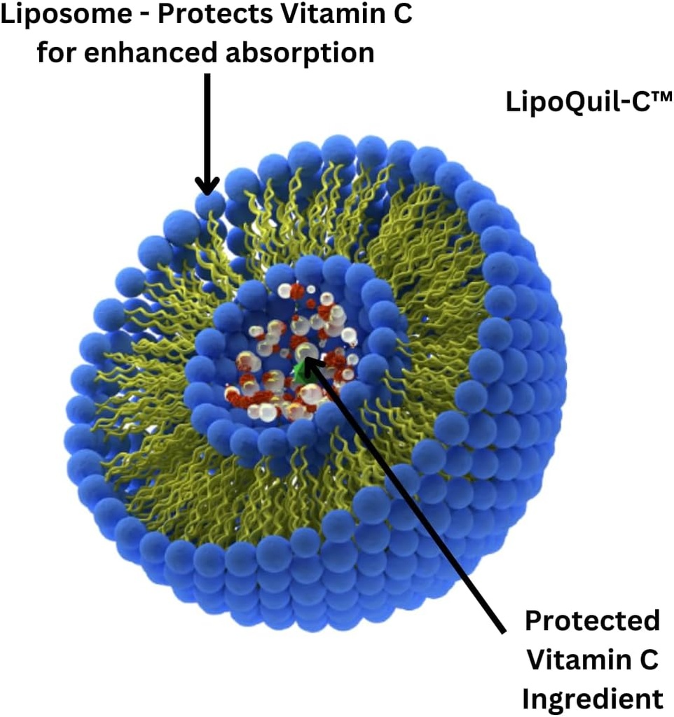 research-labs-liposomal-vitamin-c-supple-3.jpg