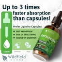 artichoke-leaf-extract-liquid-drops-2000-5.jpg