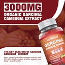 2-pack-sugar-free-garcinia-cambogia-gumm-3.jpg