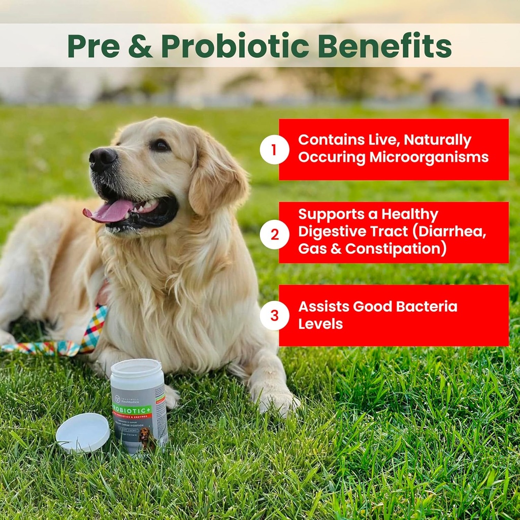 pawmedica-dog-probiotics-and-digestive-e-2.jpg