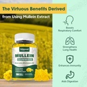 2-pack-mullein-gummies-for-lungs-mullein-3.jpg
