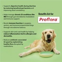 probiotics-for-dogs-complete-gut-health--4.jpg