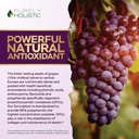 purely-holistic-grape-seed-extract-400mg-4.jpg