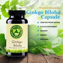 ginkgo-biloba-capsule-memory-supplement--3.jpg