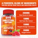 2-packs-cholesterol-support-gummies-cont-3.jpg