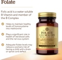 solgar-folate-1333-mcg-dietary-folate-eq-3.jpg