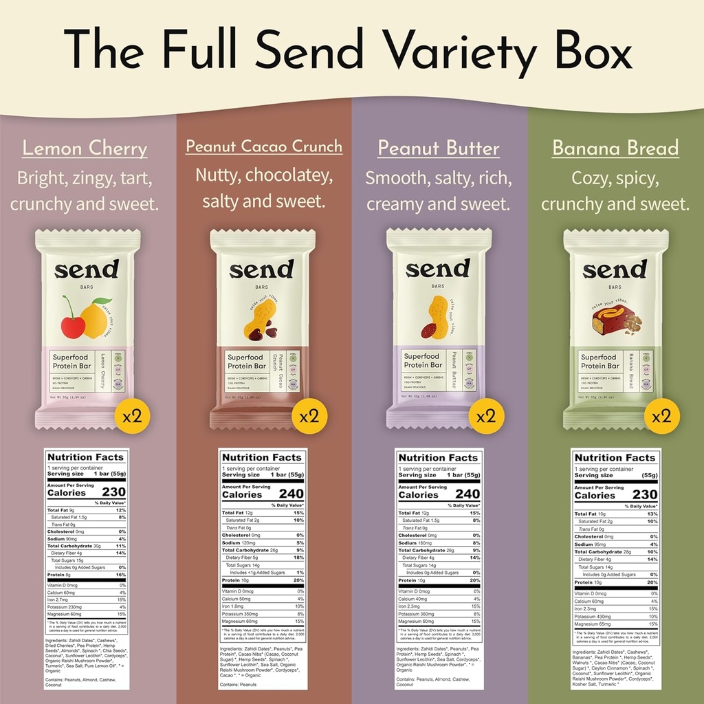send-bars-plant-based-vegan-healthy-prot-2.jpg