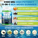 sea-moss-gummies-3100mg-irish-true-sea-m-5.jpg