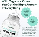 organics-ocean-one-per-day-shilajit-for--3.jpg