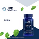 life-extension-dhea-hormone-balance-immu-4.jpg
