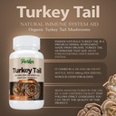 parker-naturals-turkey-tail-mushroom-cap-3.jpg