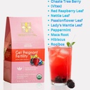 secrets-of-tea-fertility-tea-for-womens--2.jpg