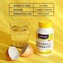 healthy-origins-eggshell-membrane-500-mg-5.jpg