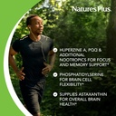 brainceutix-by-naturesplus-boost-ginkgo--3.jpg