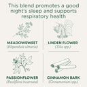 traditional-medicinals-tea-cold-care-pm--3.jpg