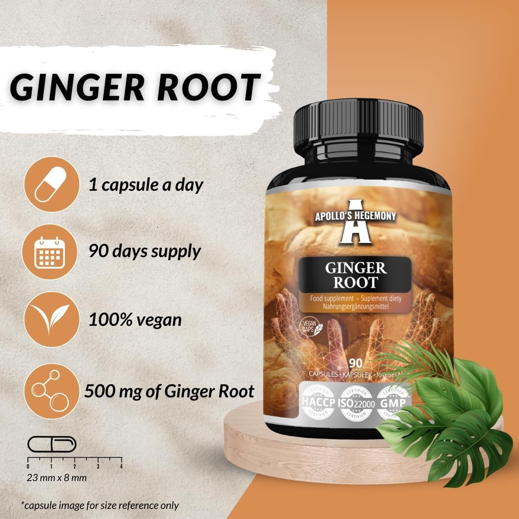apollos-hegemony-ginger-root-500-mg-extr-4.jpg