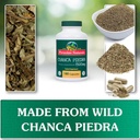 chanca-piedra-360-capsules-stone-breaker-4.jpg