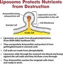 liposomal-astaxanthin-supplement-24mg-ma-5.jpg