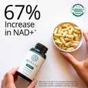 qualia-nad-supplement-clinically-proven--4.jpg