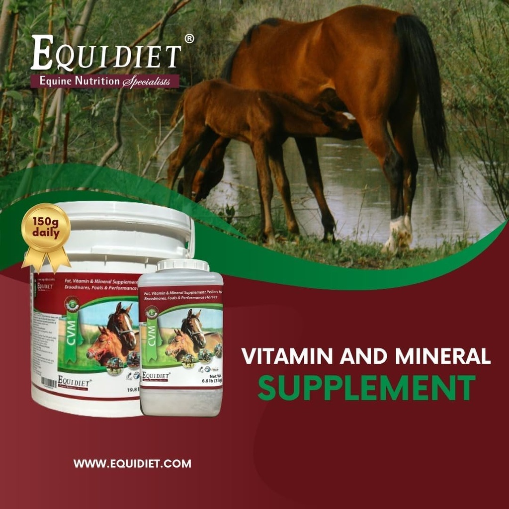 cvm---horse-vitamins---vitamin-e-supplem-3.jpg