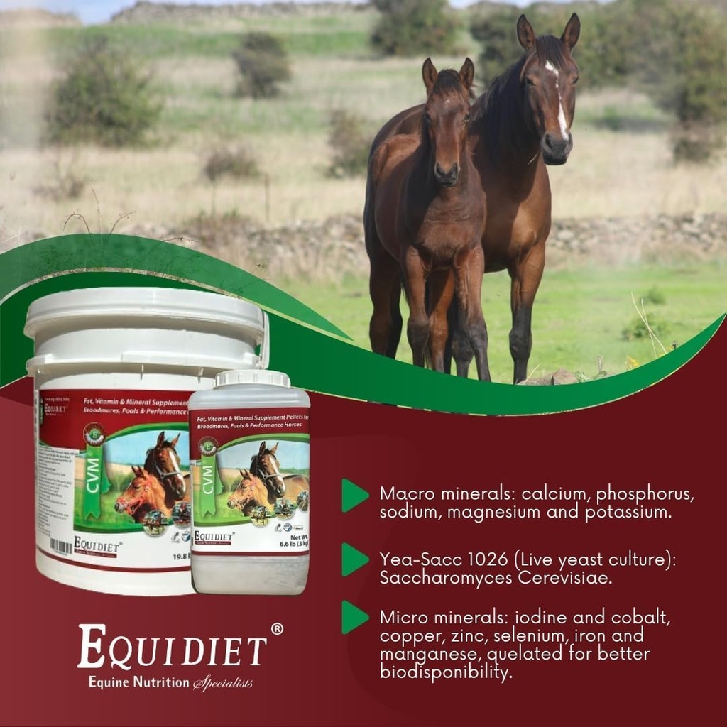 cvm---horse-vitamins---vitamin-e-supplem-6.jpg