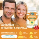 urolithin-a-supplement-1-bottle-2000mg-6.jpg
