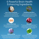 brain-health-nootropic-supplement-lions--5.jpg