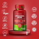 orzax-iron-supplement-25-mg--liposomal-t-2.jpg
