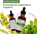 mullein-leaf-liquid-extract-2-fl-oz---ex-2.jpg