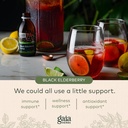 gaia-herbs-black-elderberry-syrup-54-oun-4.jpg