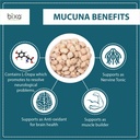 bixa-botanical-mucuna-pruriens-powder-ve-2.jpg