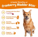 zesty-paws-cranberry-supplement-for-dogs-2.jpg
