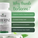 berberine-supplement---potent-1200mg-per-3.jpg