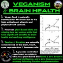 vegan-brain-body-boost-the-cherry-on-top-4.jpg