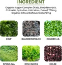 algae-fucoidan-blue-green-algae-kelp-bla-3.jpg