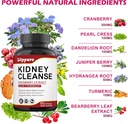 23-in-1-kidney-cleanse-detox-repair-with-5.jpg
