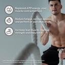 naked-muscle-growth-and-recovery-bundle--4.jpg