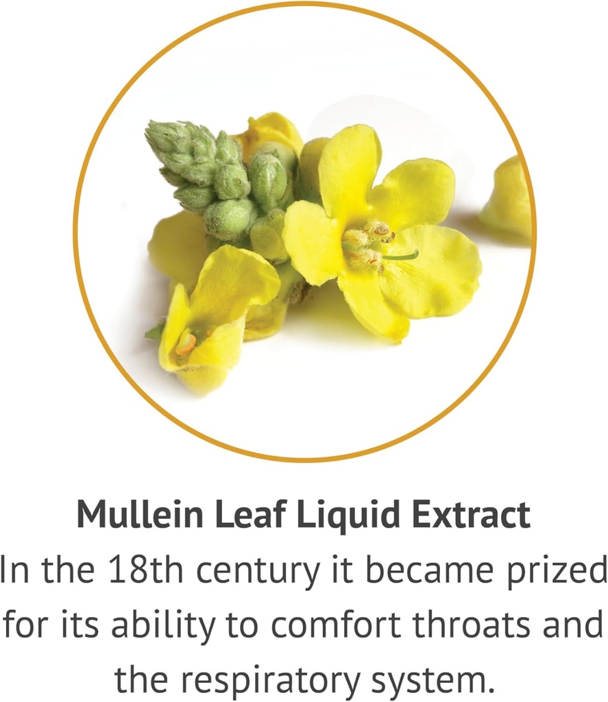 botanic-choice-mullein-leaf-liquid-extra-4.jpg